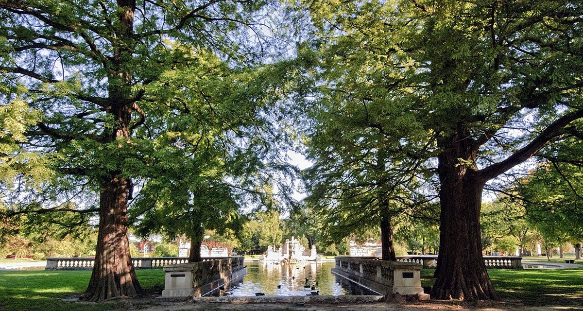 Cypress trees framing a balustraded pond and stone ruins in Tower Grove Park, St. Louis